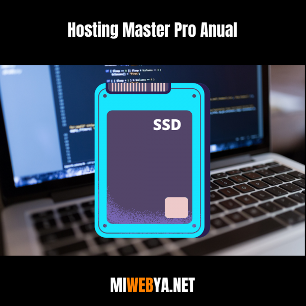 hosting master pro anual miwebya